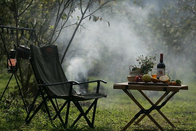 Ontdekkingsreis langs de mooiste campings in Nederland