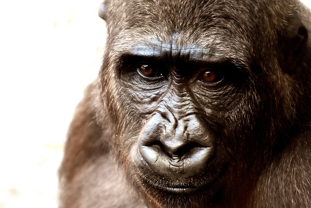 Ontdek de highlights van Zoo Wuppertal Ontdek de highlights van Zoo Wuppertal